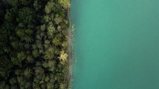 aerial view of green and brown land beside body of water during daytime